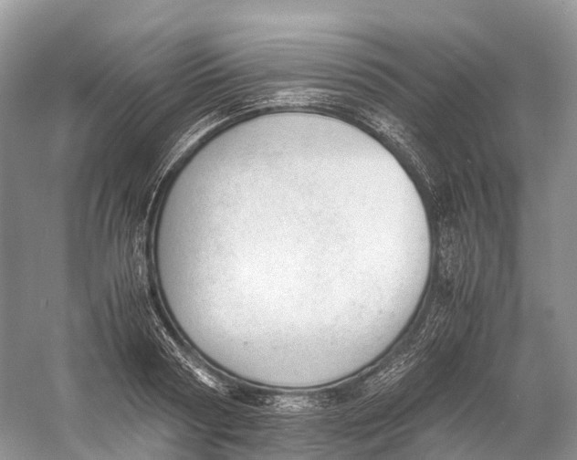 X0000060800794200512011731