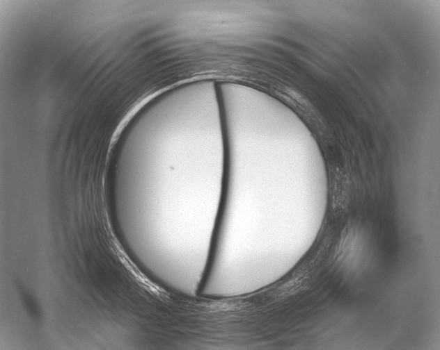 X0000060800796200512011731