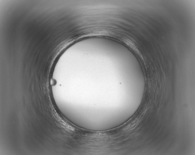 X0000060800797200512011731