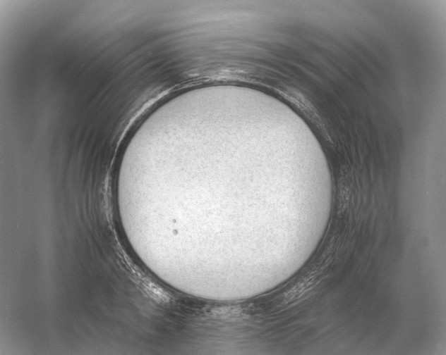 X0000060800798200512011731