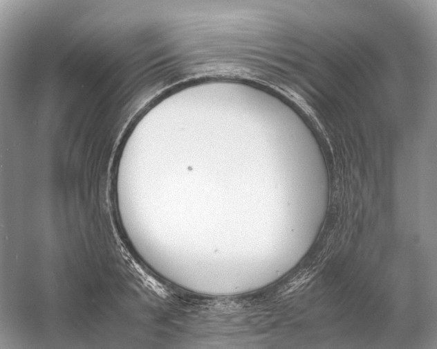 X0000060800799200512011731