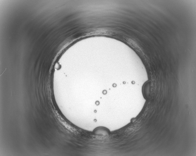 X0000060800800200512011731