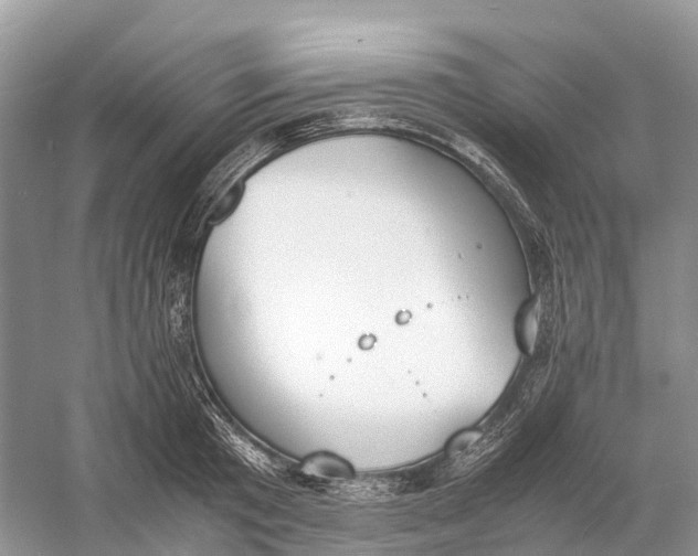 X0000060800801200512011731