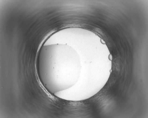 X0000060800804200512011731