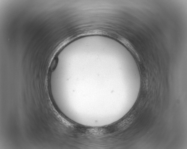 X0000060800805200512011731