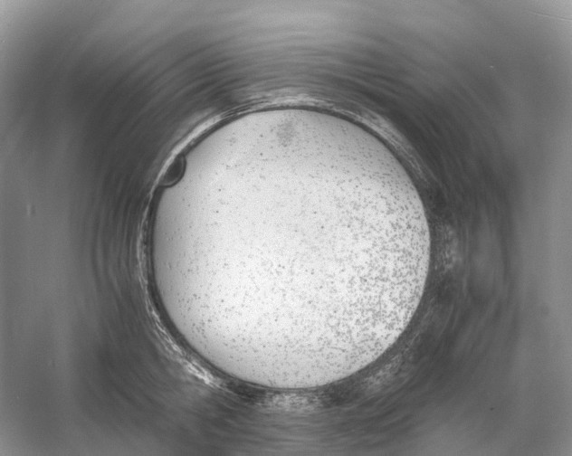 X0000060800806200512011731