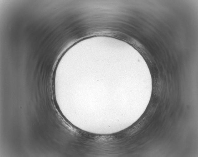 X0000060800808200512011731