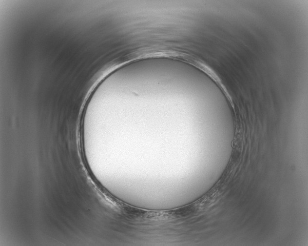 X0000060800811200512011731