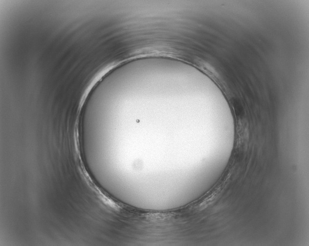 X0000060800812200512011731