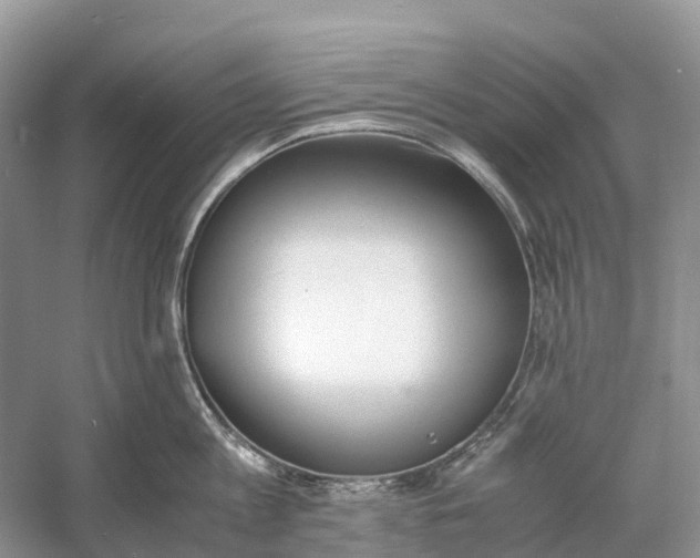 X0000060800813200512011731