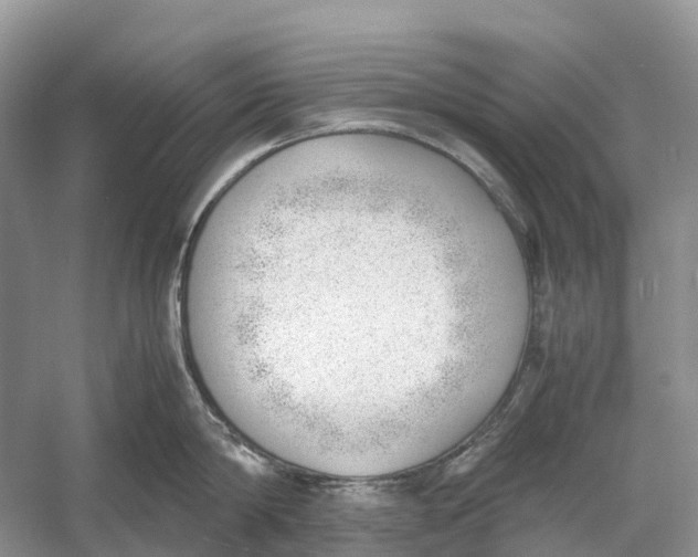 X0000060800814200512011731