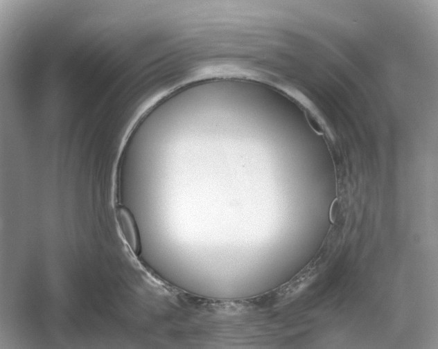 X0000060800815200512011731