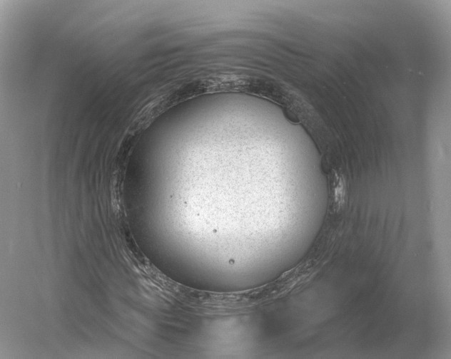 X0000060800819200512011730