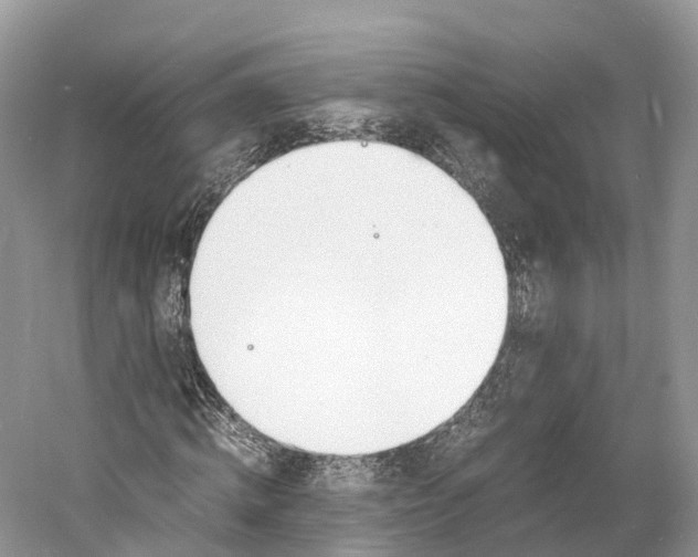 X0000060800820200512011730