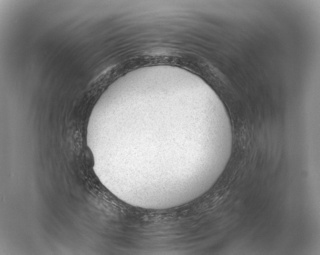 X0000060800821200512011730