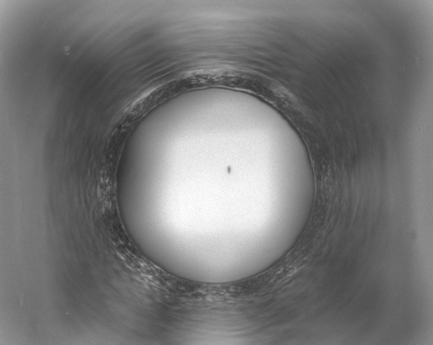 X0000060800822200512011730