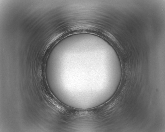 X0000060800826200512011730