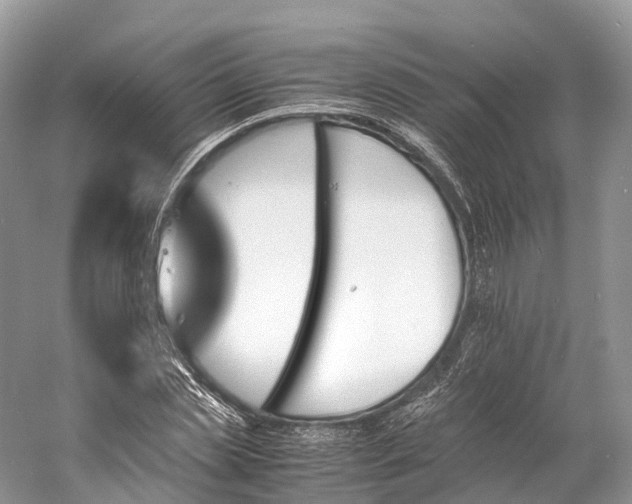 X0000060800829200512011730