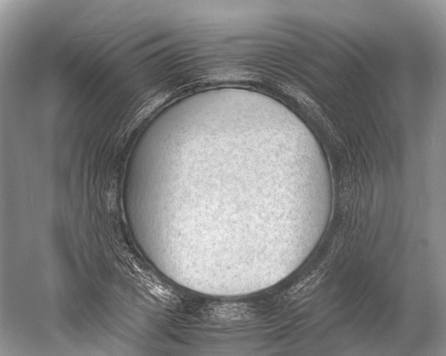 X0000060800833200512011730