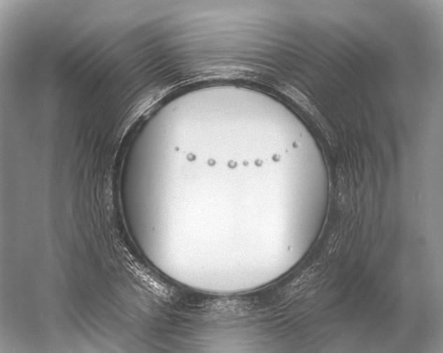 X0000060800834200512011730