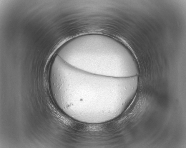 X0000060800835200512011730