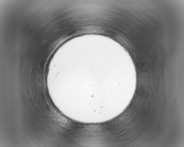 X0000060800836200512011730