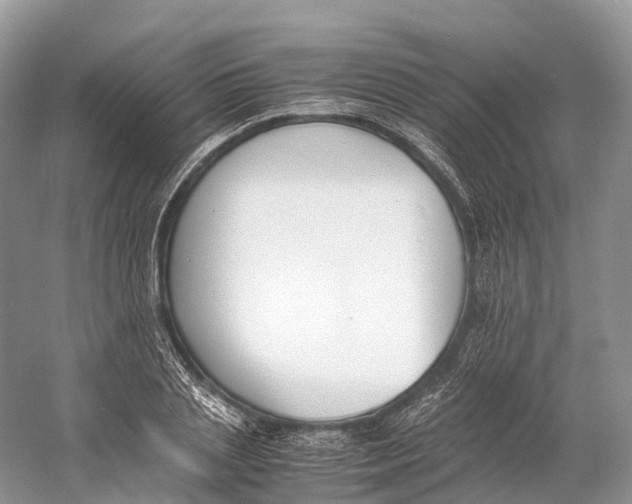 X0000060800837200512011730