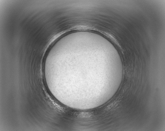 X0000060800839200512011731