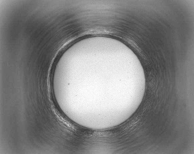 X0000060800840200512011731