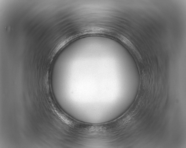 X0000060800842200512011731