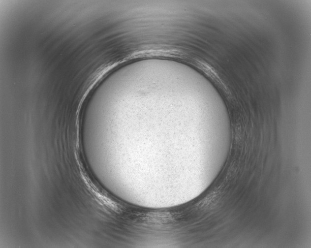 X0000060800844200512011731