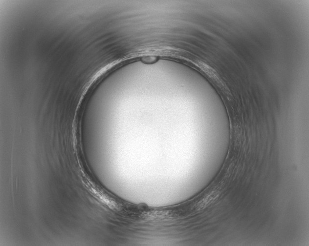 X0000060800846200512011731