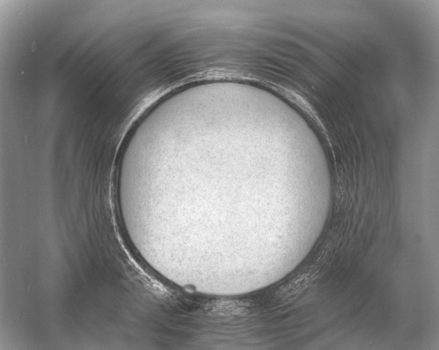 X0000060800847200512011731