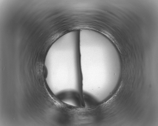 X0000060800849200512011731