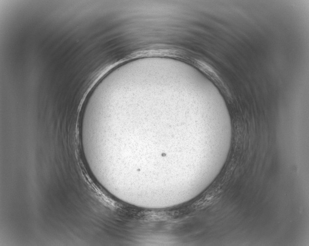 X0000060800852200512011731