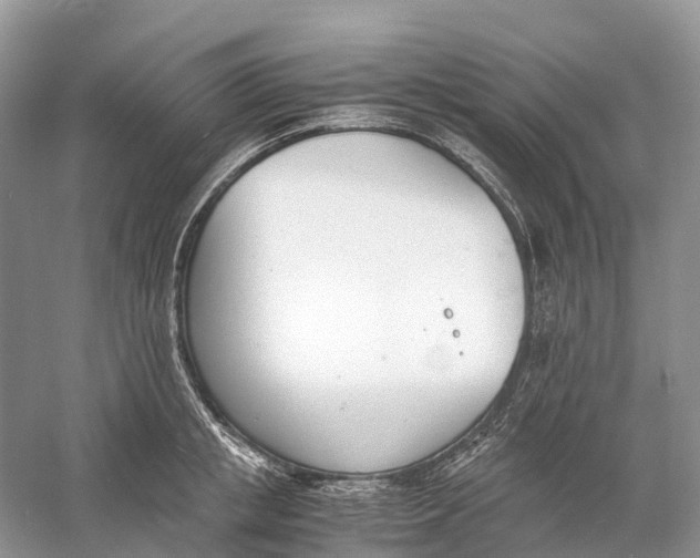 X0000060800853200512011731