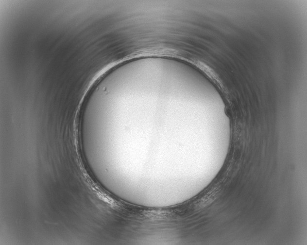 X0000060800854200512011731