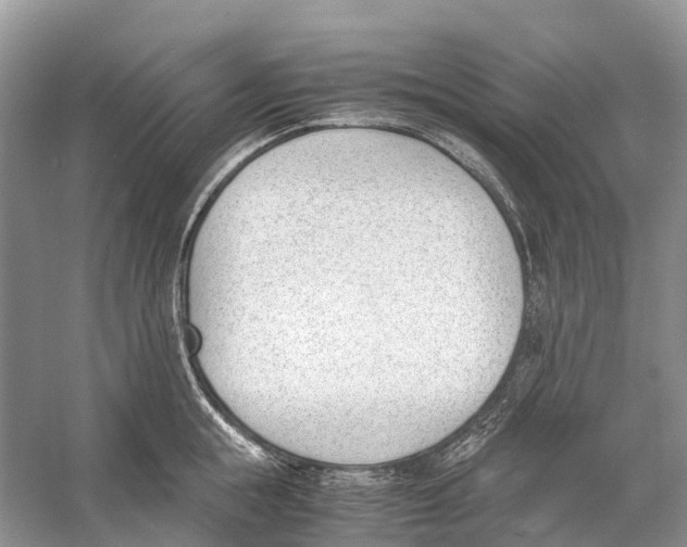 X0000060800855200512011731