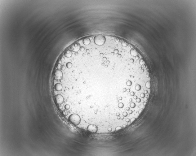 X0000060800856200512011731