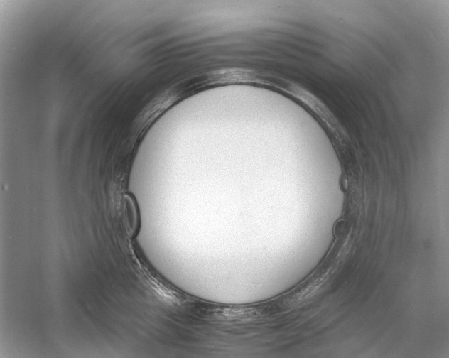 X0000060800857200512011731