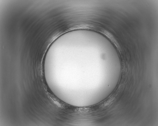 X0000060800858200512011731