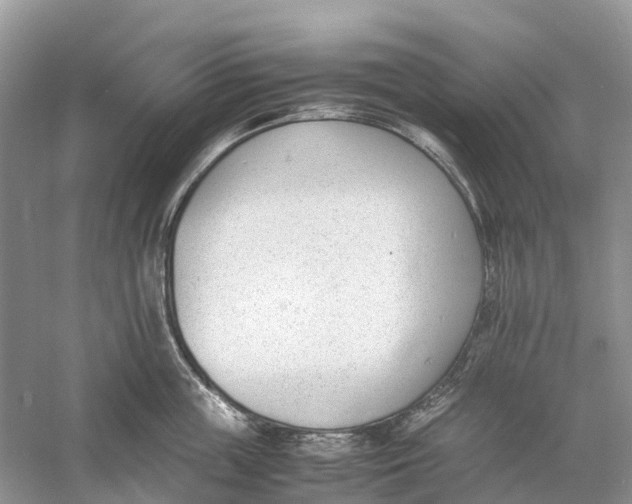 X0000060800859200512011731