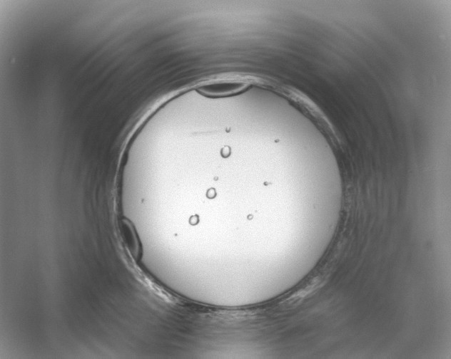 X0000060800860200512011731