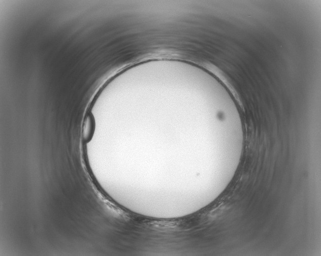 X0000060800861200512011731