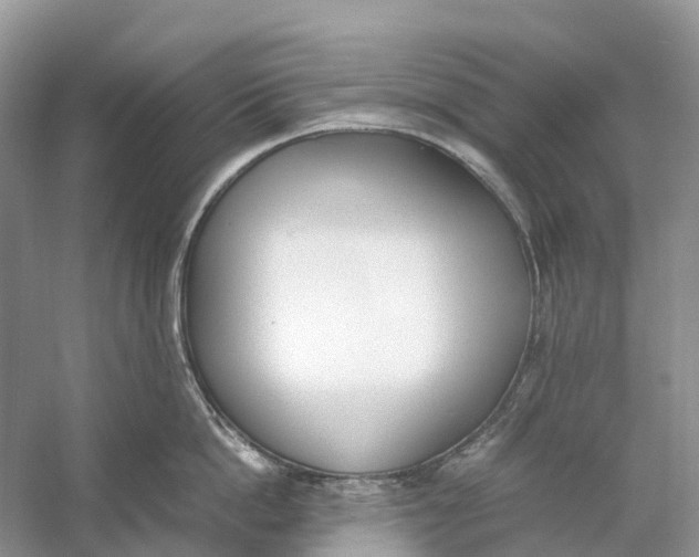 X0000060800862200512011731