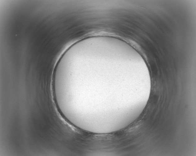 X0000060800863200512011731