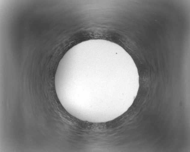 X0000060800865200512011730