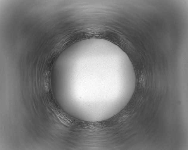 X0000060800868200512011730