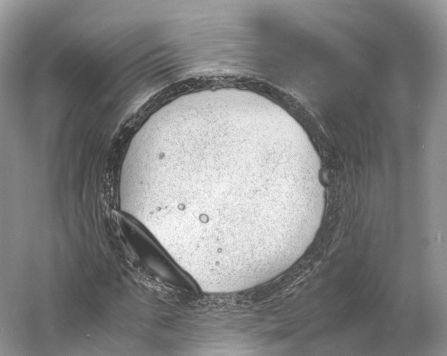 X0000060800871200512011730