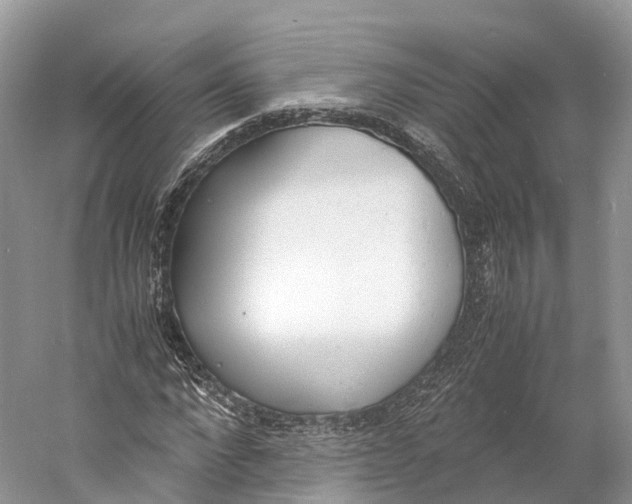 X0000060800872200512011730